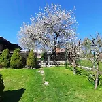 بيت ضيافة Novy Svet 3*