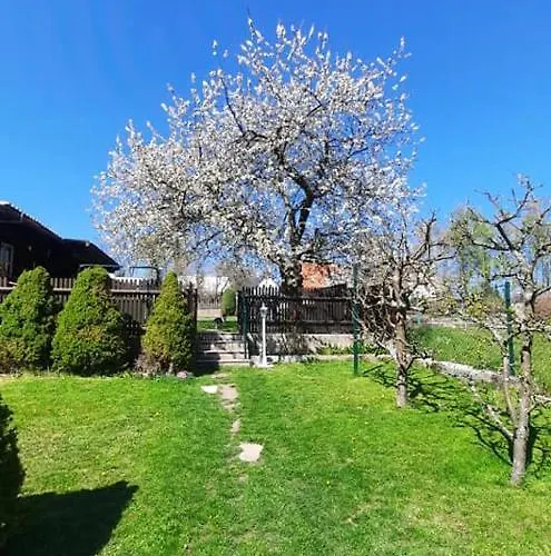 Guest house Novy Svet 3*